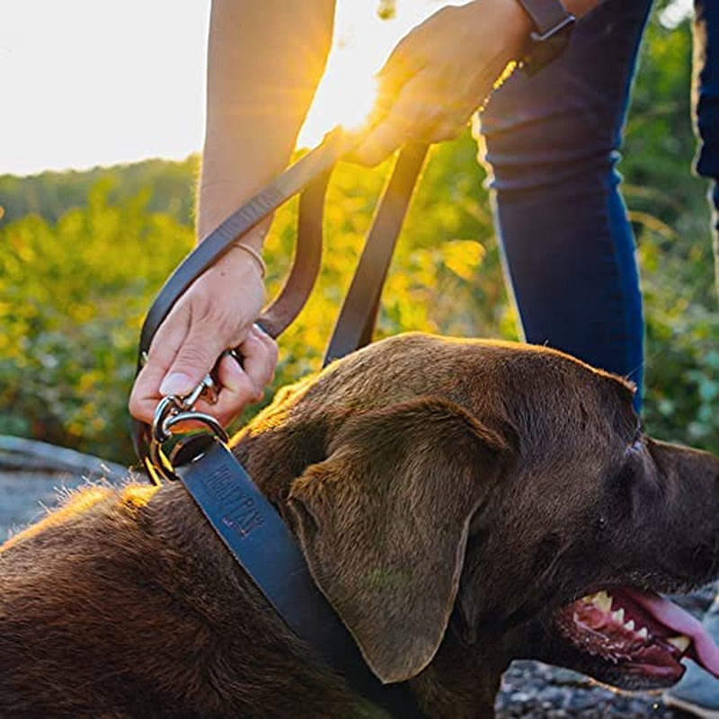 Leather Dog Leash - Genuine Material Leather Leashes for All Pet Sizes - Leashes for Dogs - Pet Lead - 5 Ft Premium Quality Dog Leash - Soft Material - Brown